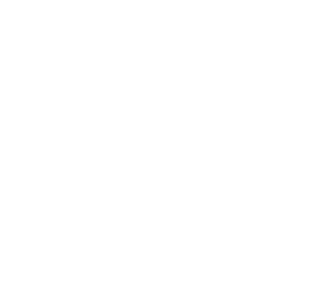 Laguna Links logo (white)