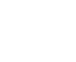 Laguna Vista logo (white)